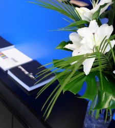 Corporate Showroom