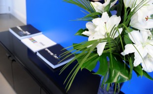 Corporate Showroom