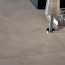 Tema Beige Polvere