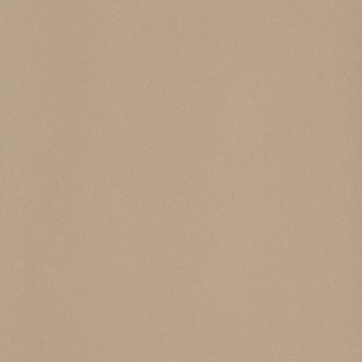 Iconic Beige Matt 120x120 cm