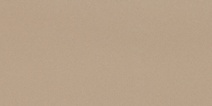 Iconic Beige Matt 60x120 cm