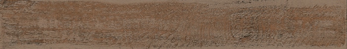 Minoli Treeage Brown 100x700