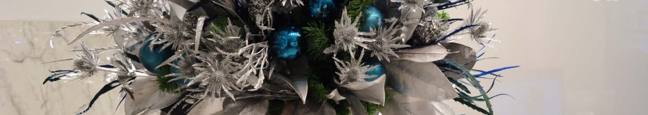 Christmas Comes 2 George Street