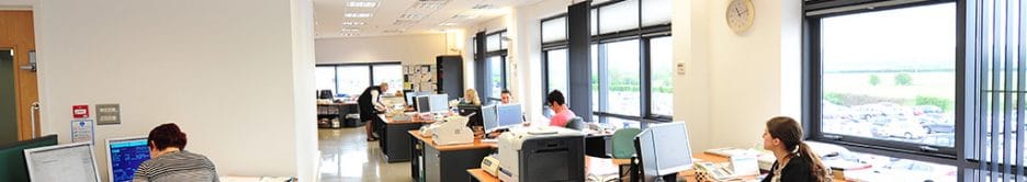 Minoli Sales Office and Administration…. And a bit of Accounts!